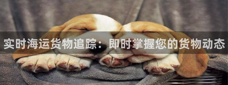公海赌博为什么没人管
