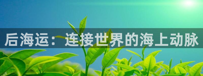 公海赌船网页