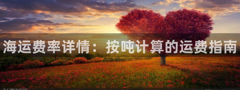 公海赌赌船官网图标