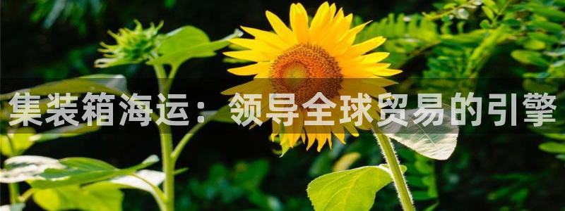 欢迎您来到公海欢迎您来到赌船
