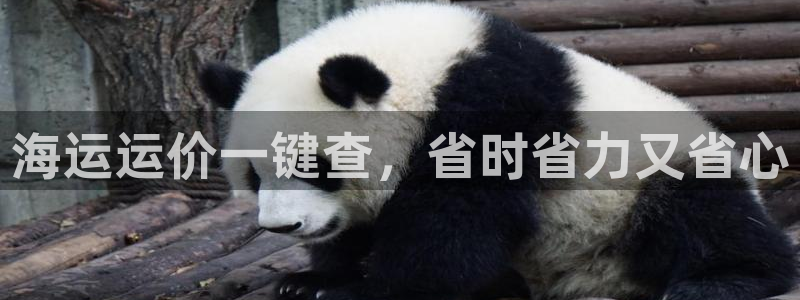 欢迎来到公海电脑版