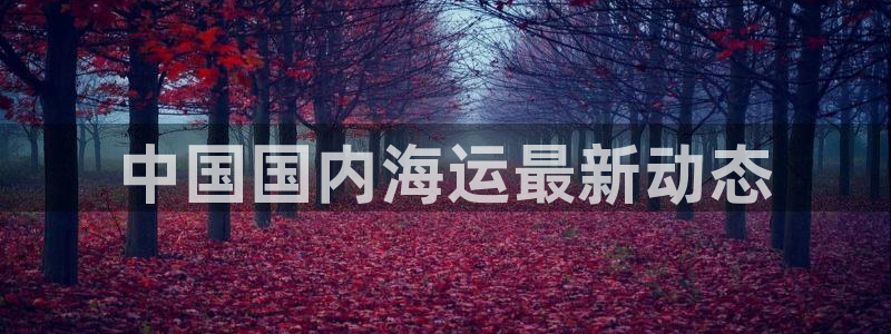 公海赌博是什么意思
