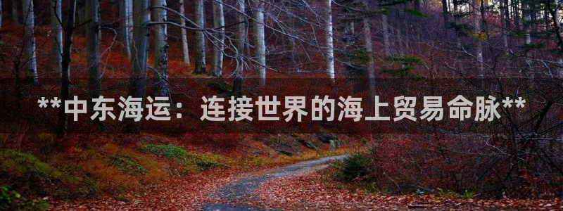 欢迎来到公海555000