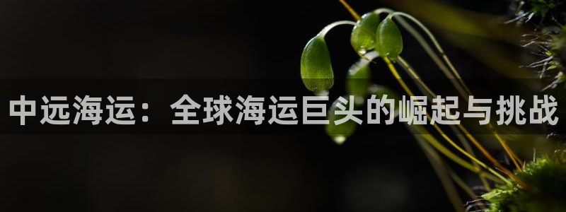 公海赌赌船官网图标