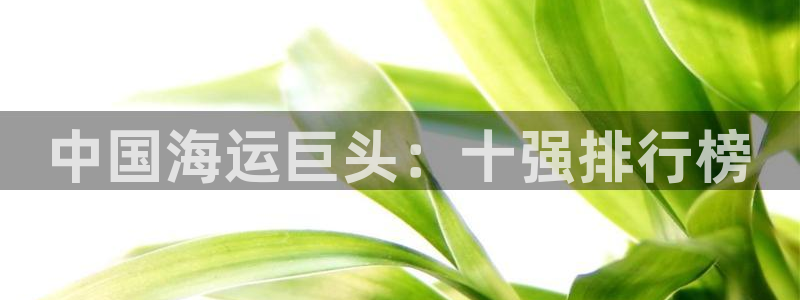 欢迎你来到公海赌
