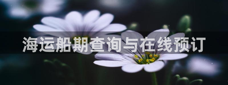 公海赌赌船710检测路线