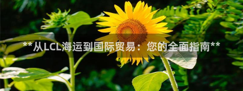 欢迎到我的船上来的英文