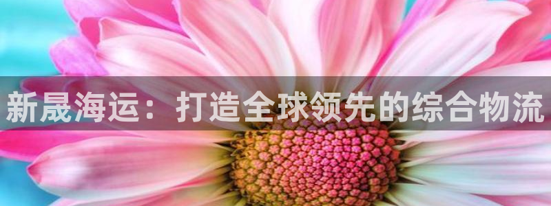 欢迎来到公赌船