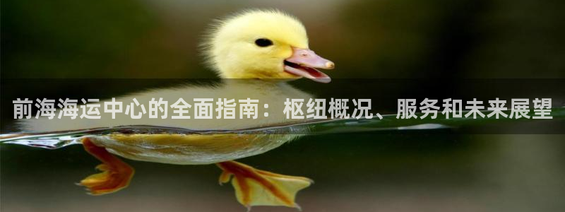 710公海赌赌船有总代理吗