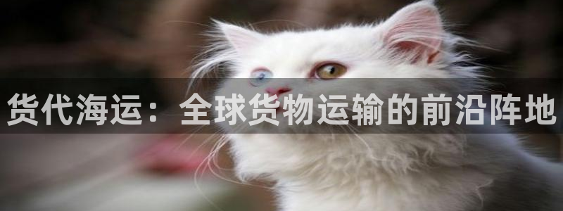 欢迎上船