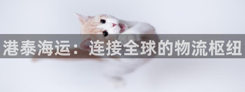 欢迎来到公赌船