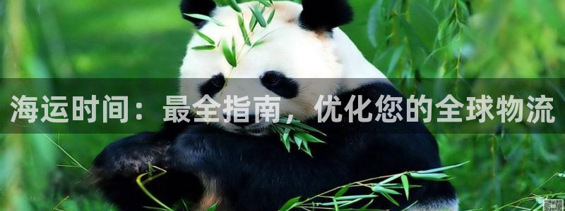 欢迎你来到公海赌