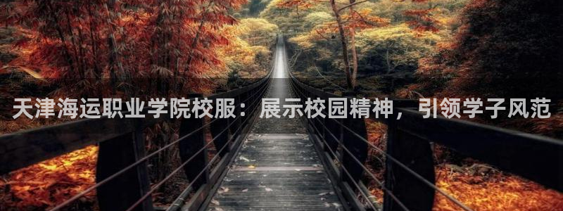 欢迎来到海边