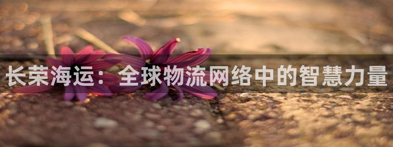 公海赌钱算合法收益吗