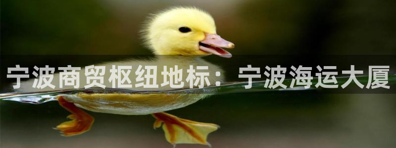 公海赌赌船利息宝是真的吗
