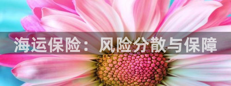 公海赌钱很大吗