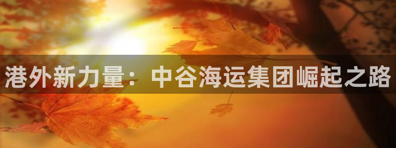 公海赌博是什么意思
