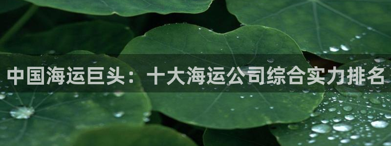 欢迎来到公海7109线路