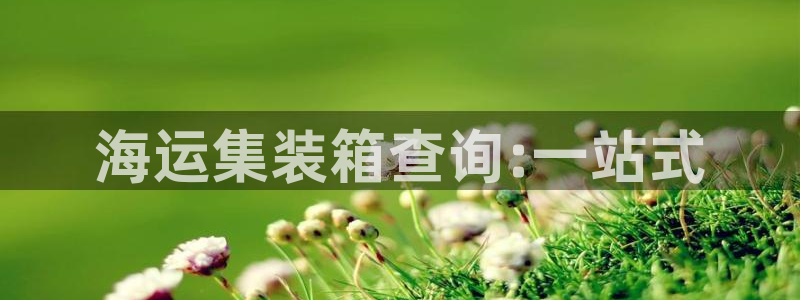 公海船赌网站是多少