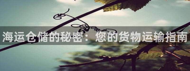 公海赌钱犯法吗