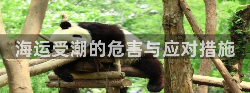 公海赌船赌博