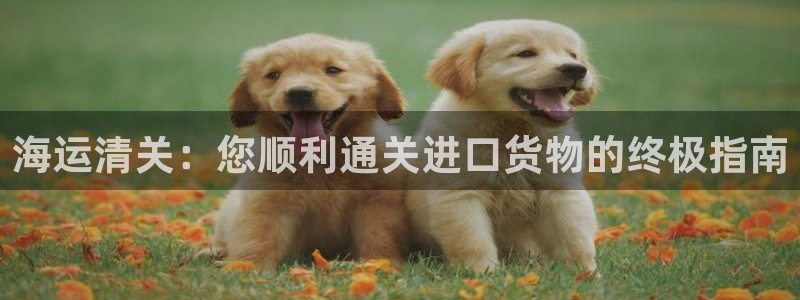 公海赌赌船官网710忘记账号了