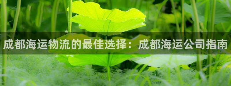 欢迎来公海欢迎来到赌船!