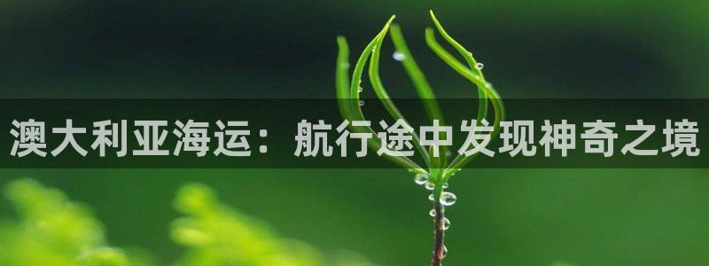 公海赌钱公安会抓吗