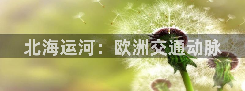 欢迎来到海边