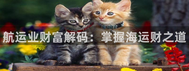 公海赌赌船官网真的吗