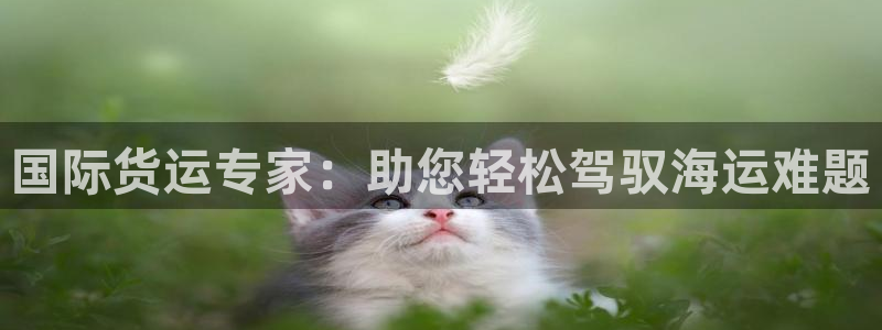 公海欢迎来到赌船710