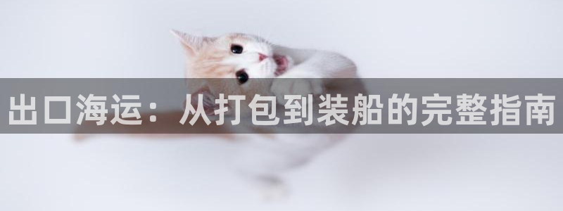 欢迎你来到 公主的海岛