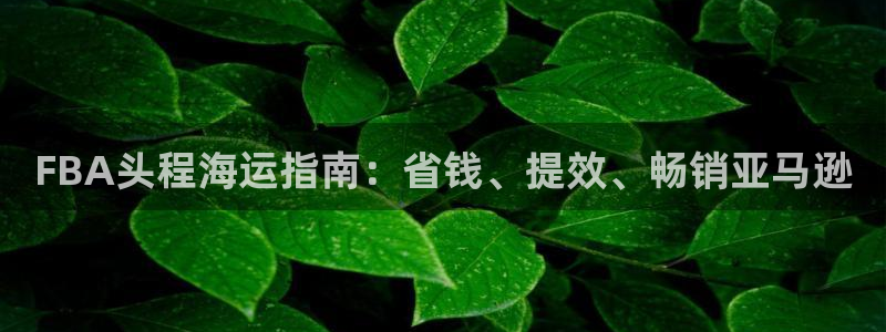 公海赌赌船官网