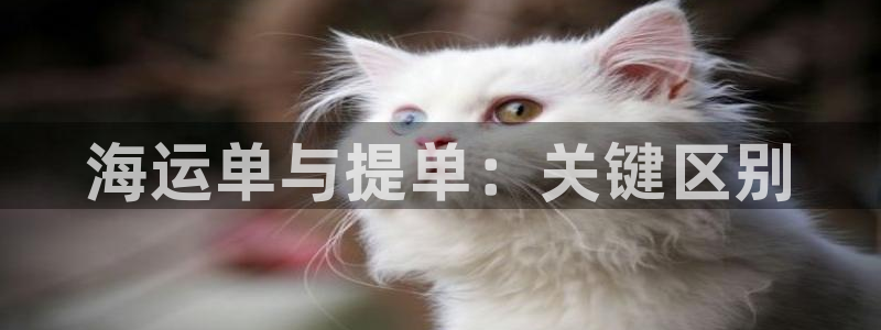 欢迎您来到公海客服