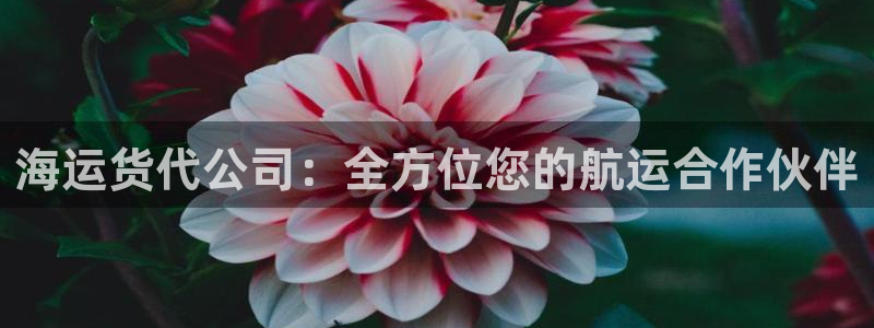 欢迎你来到 公主的海岛