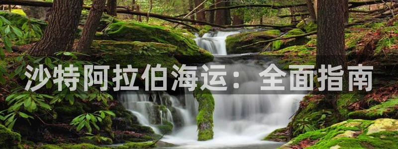 欢迎您来到公海客服