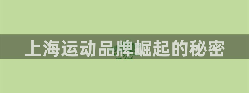 公海欢迎来到赌船