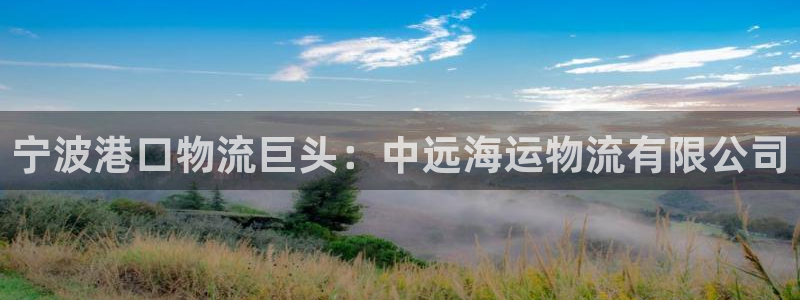 公海赌博为什么没人管